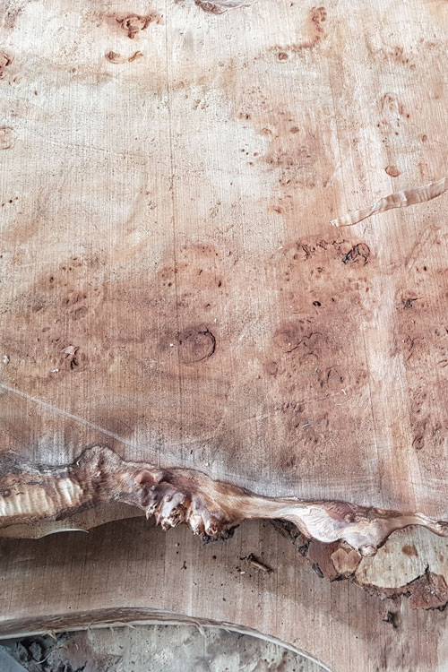 bois de loupe de peuplier pour une table basse